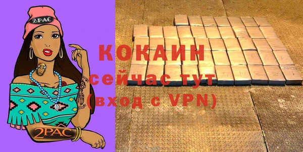 индика Верхний Тагил