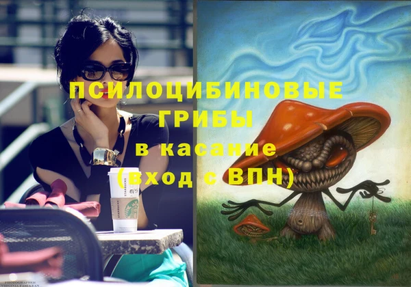индика Верхний Тагил