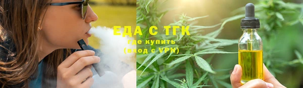 индика Верхний Тагил