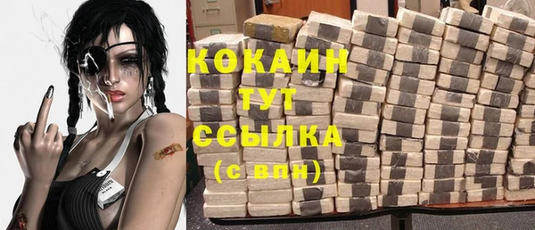 индика Верхний Тагил