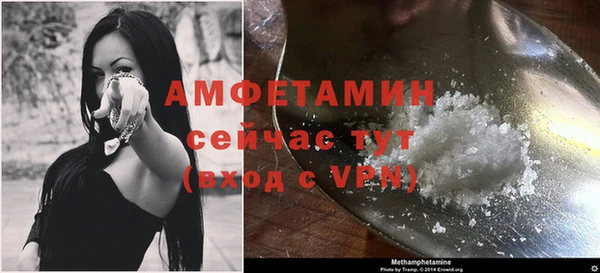 индика Верхний Тагил