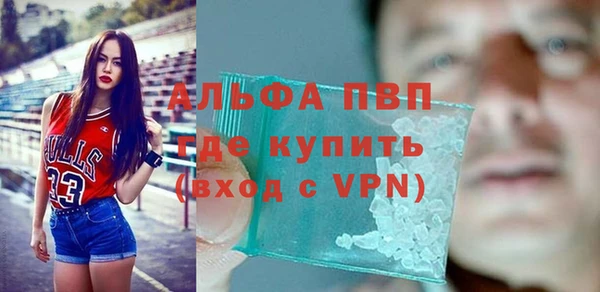 индика Верхний Тагил